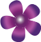 flower-purple